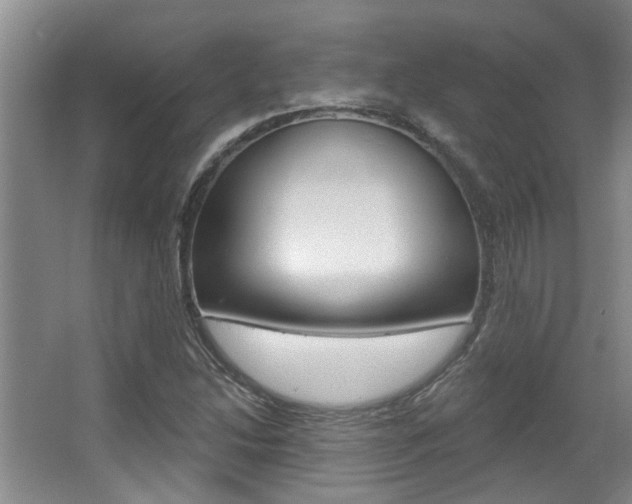 X0000064051214200601270949