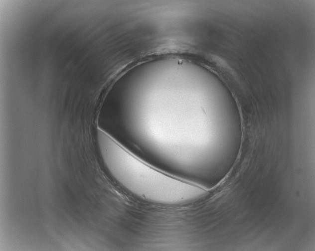 X0000064051217200601270949