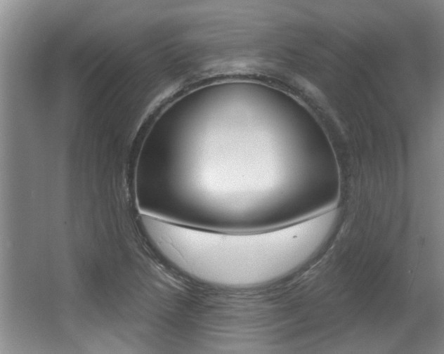 X0000064051218200601270949