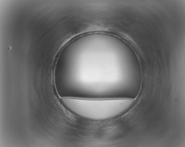 X0000064051220200601270949