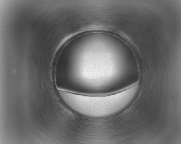 X0000064051222200601270950