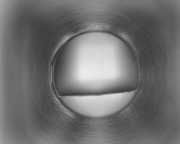 X0000064051227200601270950
