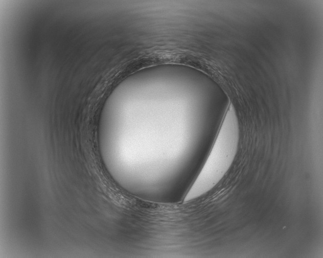 X0000064051249200601270949