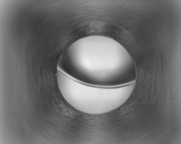 X0000064051250200601270949