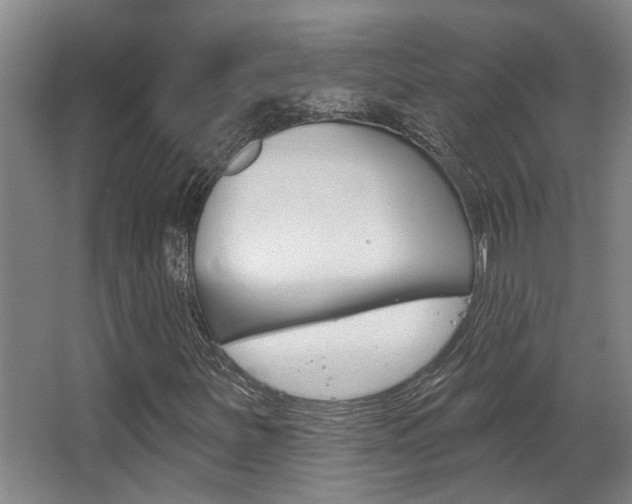 X0000064051251200601270949