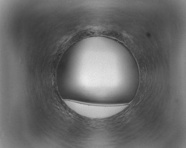 X0000064051253200601270949