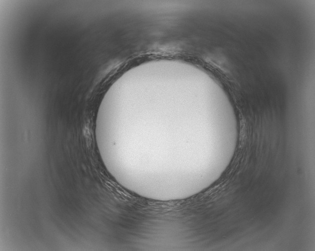X0000064051254200601270949
