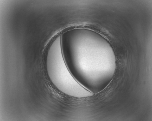 X0000064051256200601270949