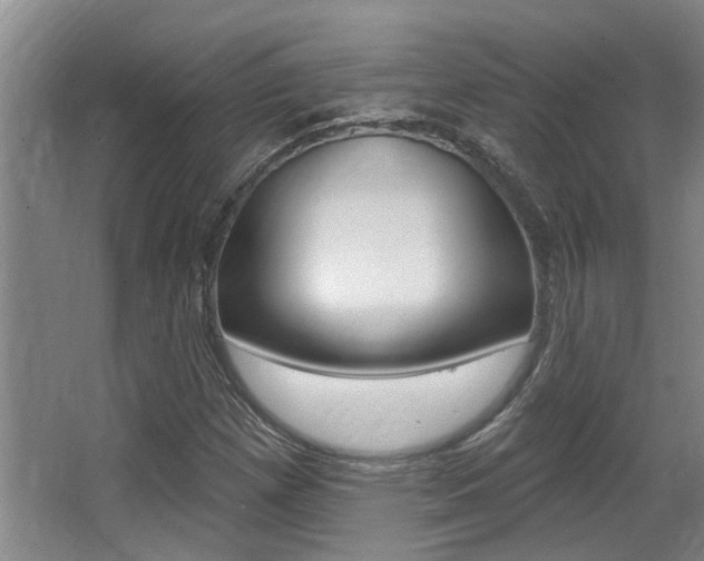 X0000064051257200601270949