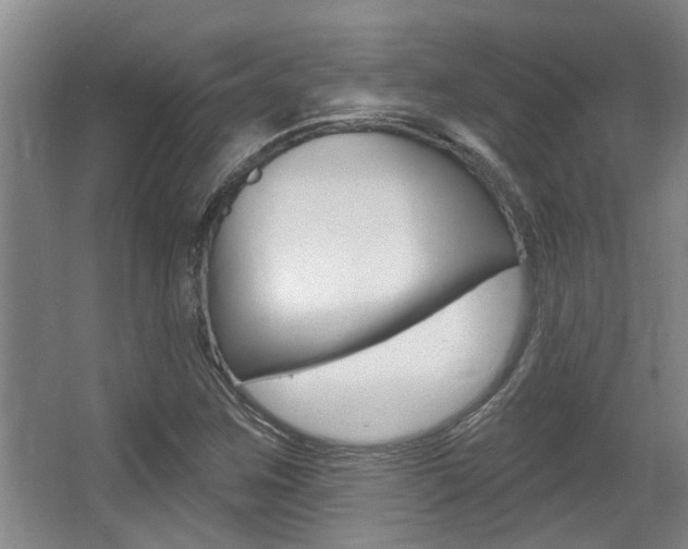 X0000064051259200601270949