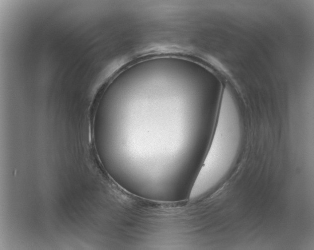 X0000064051269200601270949
