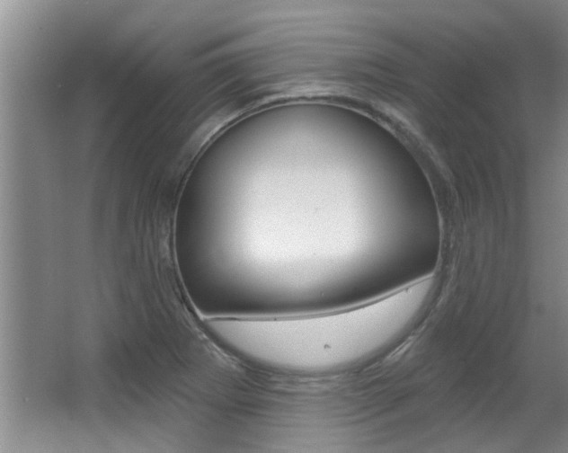 X0000064051273200601270949