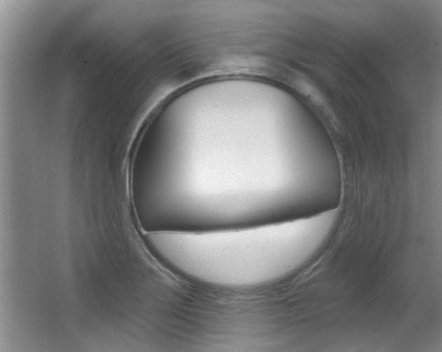 X0000064051275200601270949