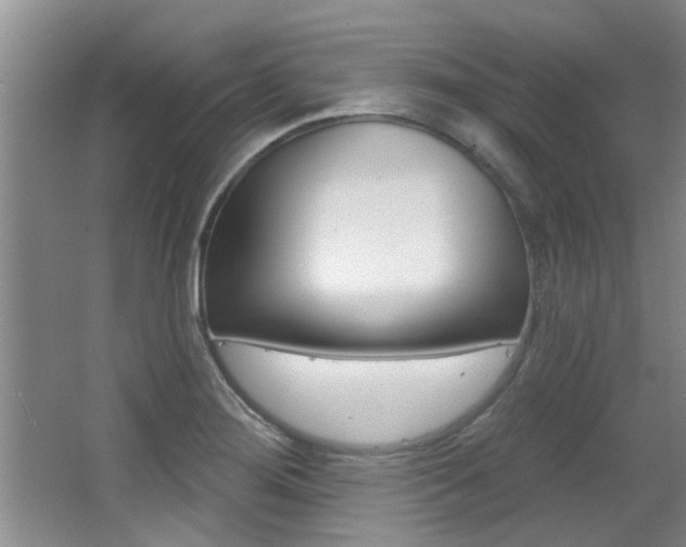 X0000064051276200601270949