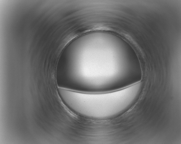 X0000064051281200601270949