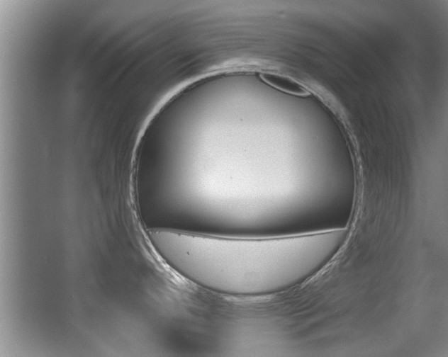 X0000064051296200601270948