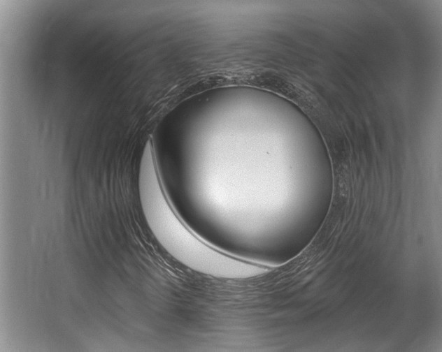 X0000064051298200601270948