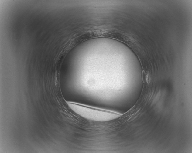 X0000064051299200601270948