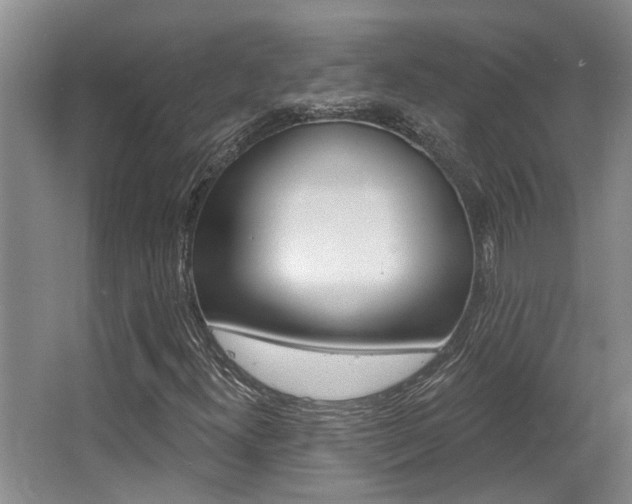 X0000064051300200601270948