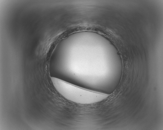 X0000064051302200601270948