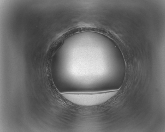 X0000064051303200601270948