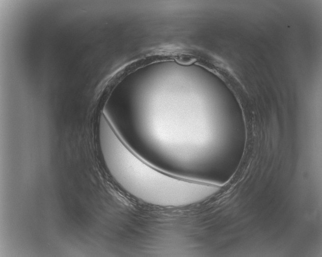 X0000064051304200601270948