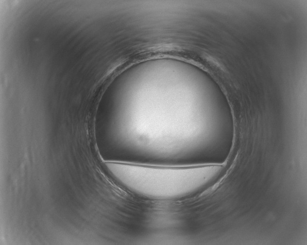 X0000064051305200601270948