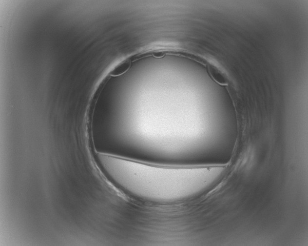X0000064051325200601270948