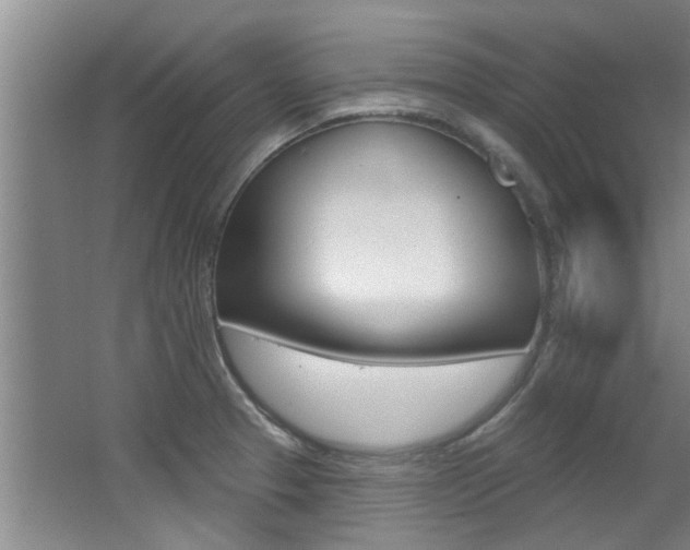 X0000064051329200601270948