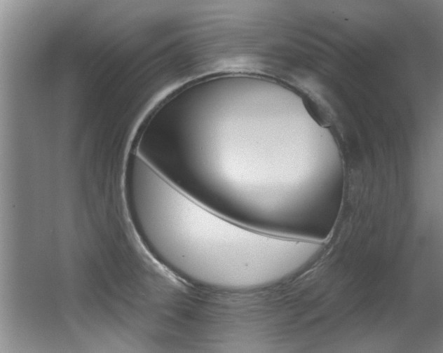 X0000064051331200601270948
