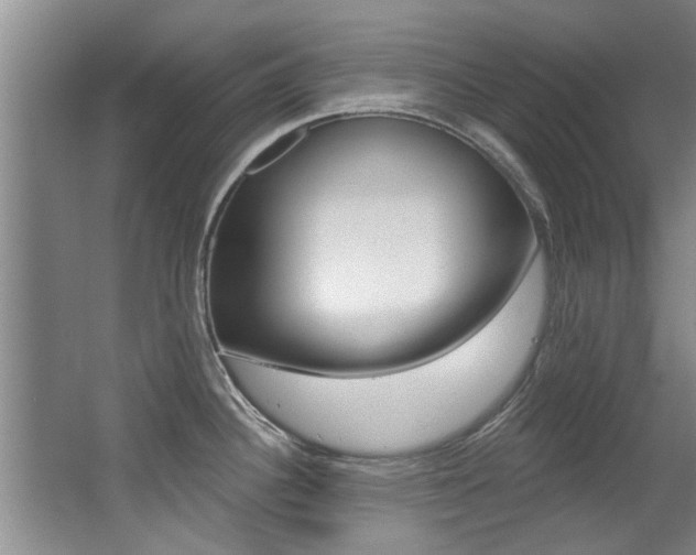 X0000064051340200601270948