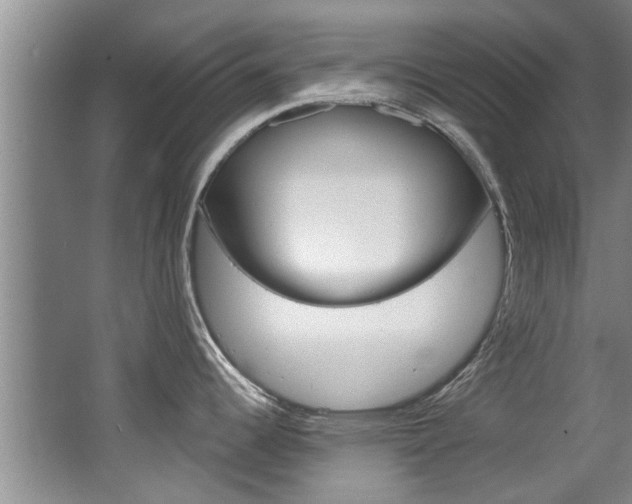 X0000064051344200601270948