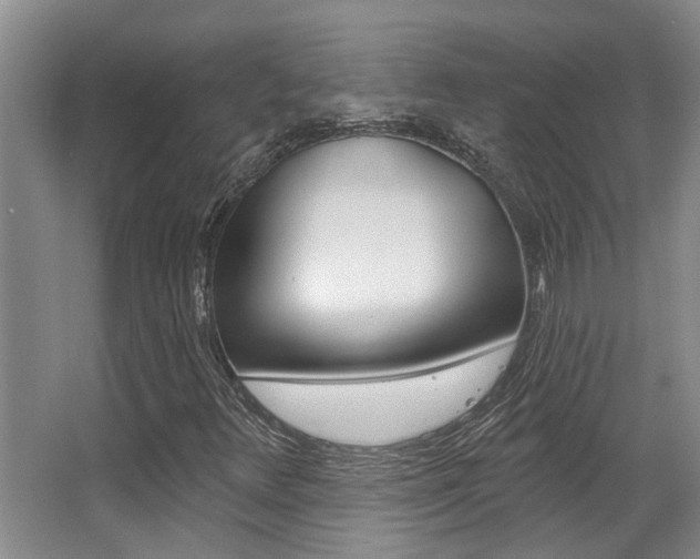 X0000064051348200601270947