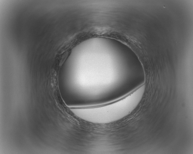 X0000064051349200601270947