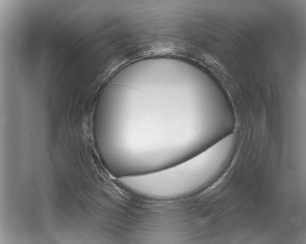 X0000064051353200601270947