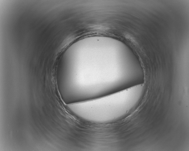 X0000064051354200601270947