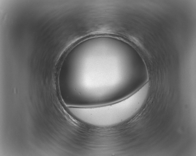 X0000064051356200601270947