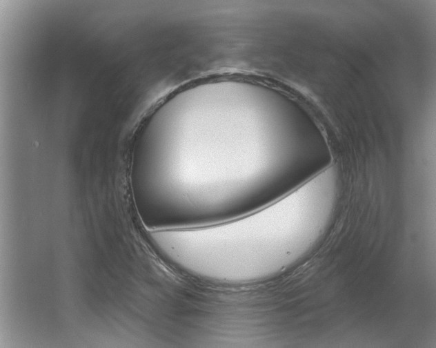 X0000064051359200601270947