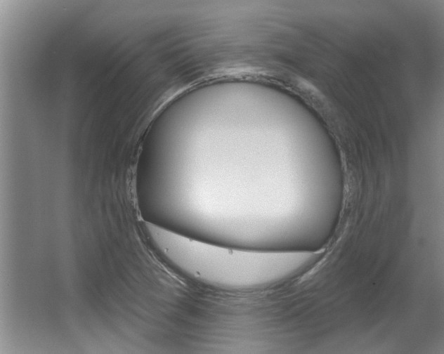 X0000064051361200601270947