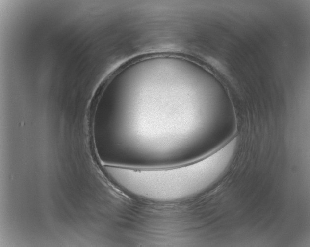 X0000064051364200601270947