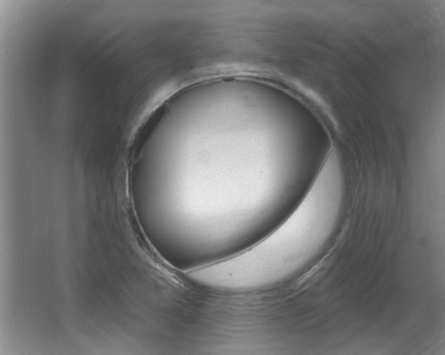 X0000064051365200601270947
