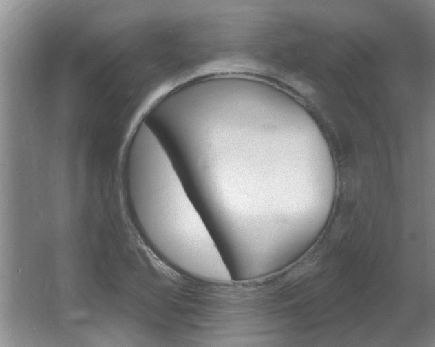 X0000064051366200601270947