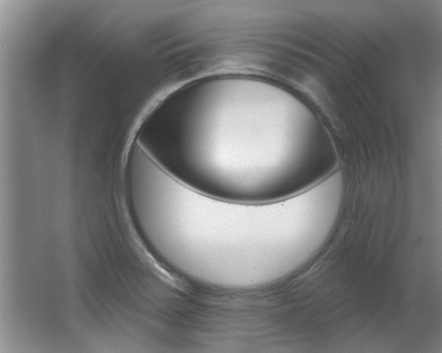 X0000064051371200601270947