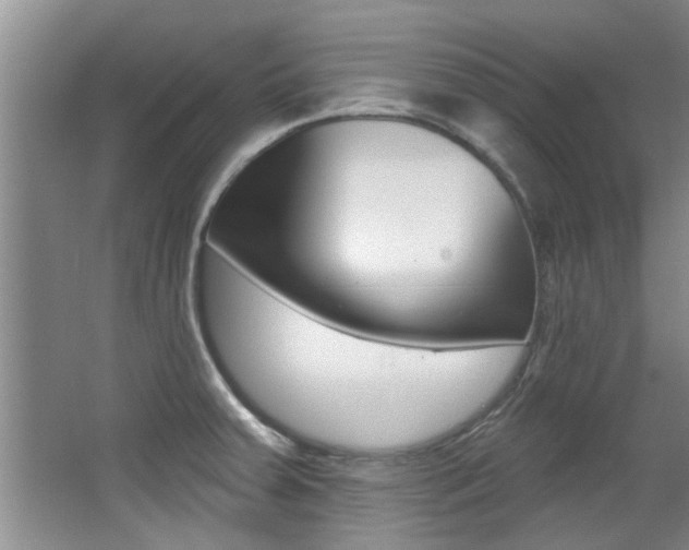 X0000064051379200601270947