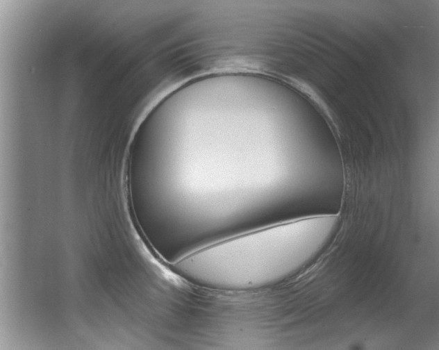 X0000064051387200601270947