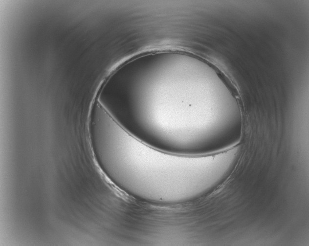 X0000064051388200601270947
