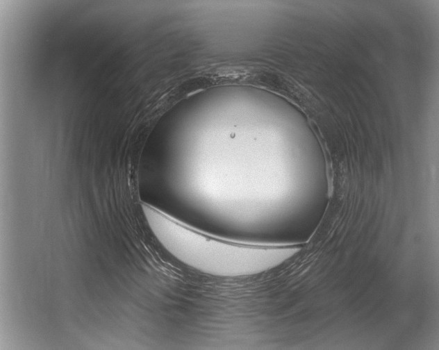 X0000064051394200601270946