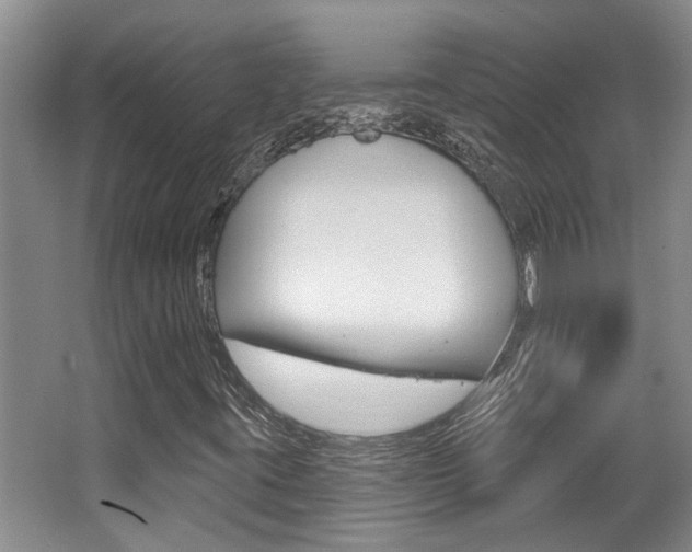 X0000064051395200601270946