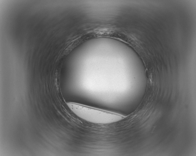 X0000064051396200601270946