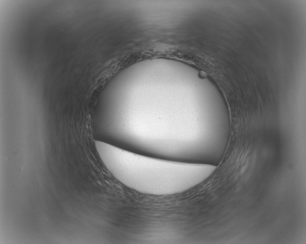 X0000064051397200601270946